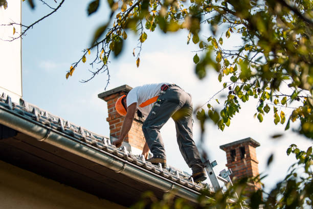 Best Emergency Roof Repair  in Ridgeway, AK