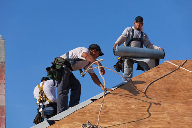 Best Flat Roof Repair Services  in Ridgeway, AK
