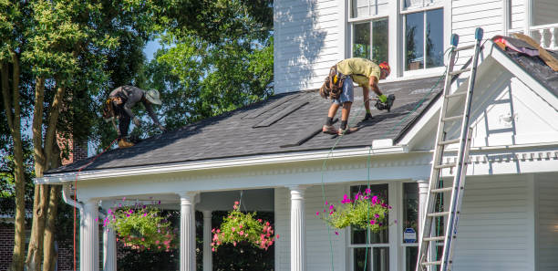 Best Roof Waterproofing Services  in Ridgeway, AK
